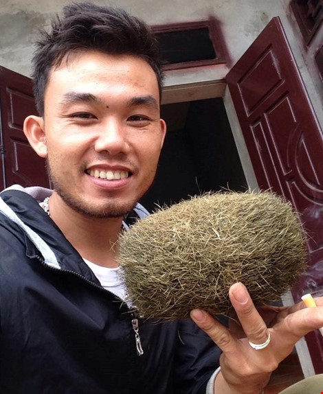 "Bảo vật" nghi cát lợn đầu tiên được gia đình anh Phan Lạc Hùng (trú tại thôn 6, xã Ba Trại, huyện Ba Vì, TP. Hà Nội) phát hiện trong dạ dày lợn vào ngày 20/11/2015, khi gia đình tiến hành mổ lợn.