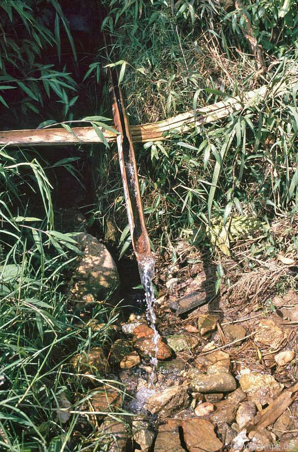 Ống dẫn nước suối bằng tre.