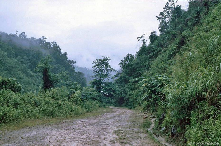 Đường lên Sapa khi ấy chỉ là đường mòn.