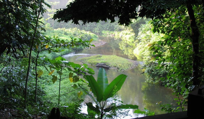 10. Di sản rừng mưa nhiệt đới đảo Sumatra, Indonesia: Bao gồm 3 công viên quốc gia với tổng diện tích hơn 2 triệu ha, đây là nơi có thảm thực vật, động vật rất đa dạng: 10.000 loài thực vật, 201 loài động vật có vú và hơn 550 loài chim. Cảnh quan thiên nhiên xinh đẹp với các hang động, thác nước, hồ băng và núi lửa. Ảnh: UNESCO.