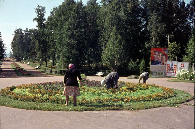 Cảnh tượng trong một công viên ở Zelenogorsk, Leningrad vào năm 1963.