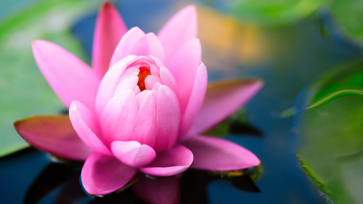 Họ có tinh thần làm việc chăm chỉ, không muốn tụt lại phía sau và chịu đựng được áp lực tốt.