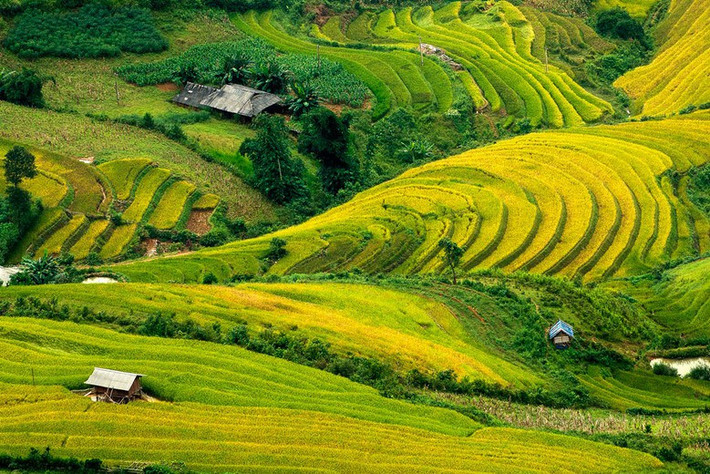 Khung cảnh nhìn từ đèo Khau Phạ đẹp nhất vào mùa lúa chín, tầm tháng 9 tháng 10, khi lúa trên chân ruộng bậc thang Tú Lệ chín vàng. Đây là thời điểm mà nhiều khách du lịch mạo hiểm chinh phục đèo để ngoạn cảnh. Ảnh: Haikeu (Flickr).