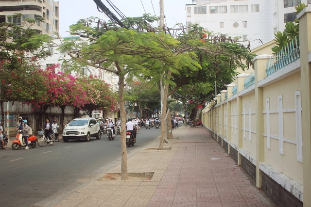 Cùng với việc quản lý chặt vấn đề an toàn thực phẩm bên trong trường học, ngành giáo dục và đào tạo Nha Trang cũng yêu cầu các trường học phối hợp với UBND xã, phường xử lý tình trạng bán hàng rong, thức ăn đường phố, mất an toàn giao thông, an ninh trật tự xung quanh khu vực trường.