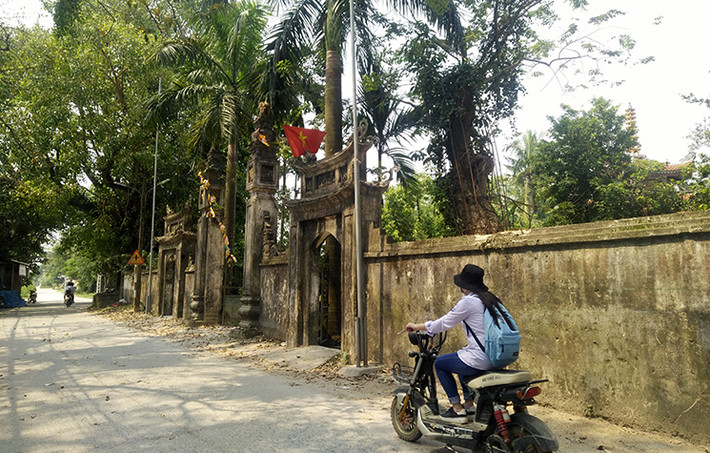 Cây sưa định giá 100 tỷ đồng nằm trong khuôn viên của ngôi chùa ở thôn Phụ Chính (xã Hòa Chính, huyện Chương Mỹ, TP Hà Nội) là loại sưa đỏ, có tuổi đời trên 130 năm.
