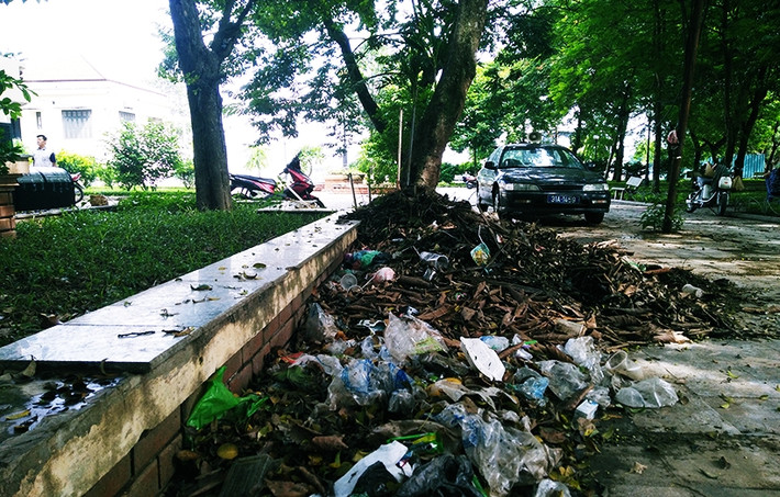 Những đống rác thải bốc mùi hôi thối, trở thành nơi trú ngụ lý tưởng của ruồi, muỗi tại vườn hoa Lý Tự Trọng.