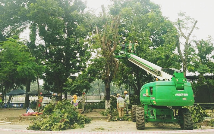 Máy móc được huy động để đưa các công nhân cắt tỉa các cành cây xanh trên cao.