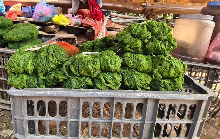 Rêu đá không chỉ là một món đặc sản dân dã mà nó còn là một nét đẹp ẩm thực Tây Bắc.