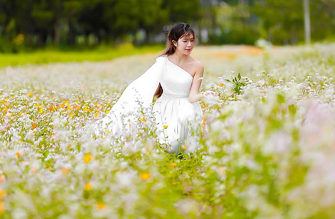Minh Hà tạo dáng trên một cánh đồng hoa ở Lâm Đồng. Trong phim mới, vợ chồng Lý Hải bỏ tiền túi đầu tư 17 tỷ đồng.