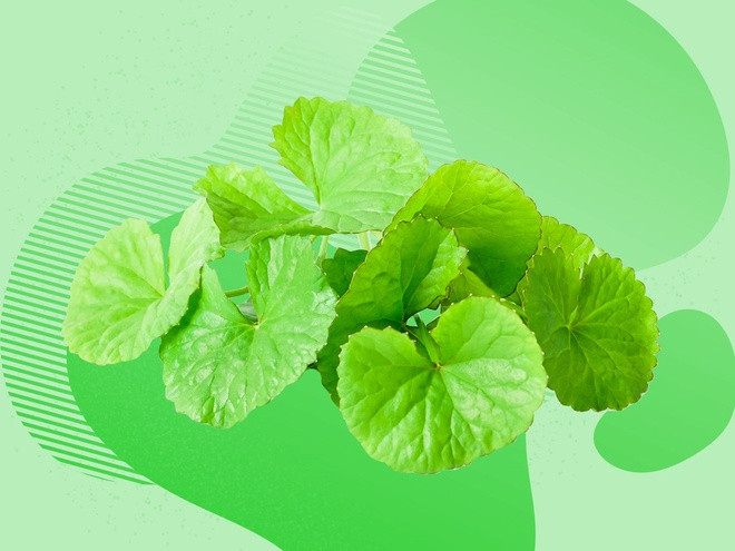 Làm dịu da bằng rau má: Ở bảng thành phần mỹ phẩm, rau má được thể hiện dưới tên gọi "centella asiatica" hoặc "cica". Giữa bối cảnh dịch bệnh, nhiều người phải đeo khẩu trang liên tục. Việc giảm bớt sự căng thẳng, kích ứng của da là sự quan tâm hàng đầu. Kem dưỡng, toner hay mặt nạ giấy chứa chiết xuất rau má là giải pháp làm dịu hiệu quả. Ảnh: Self.