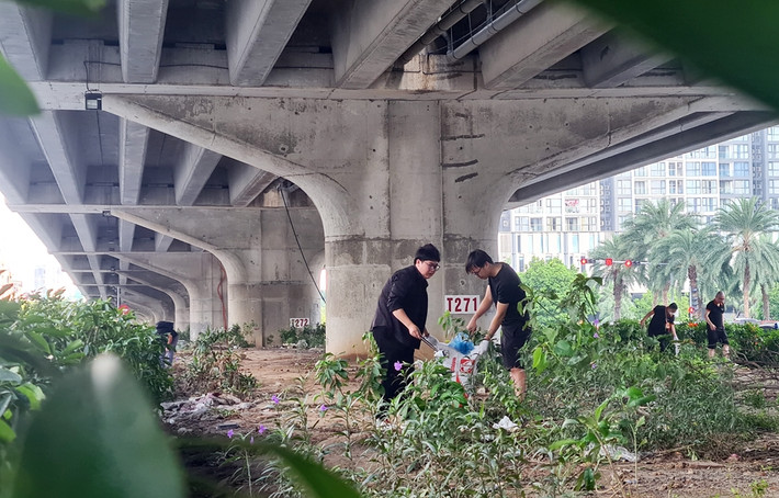 Các loại rác chủ yếu thu gom được là cốc nhựa, túi nilon, vỏ bánh kẹo và đặc biệt là đầu lọc thuốc lá.