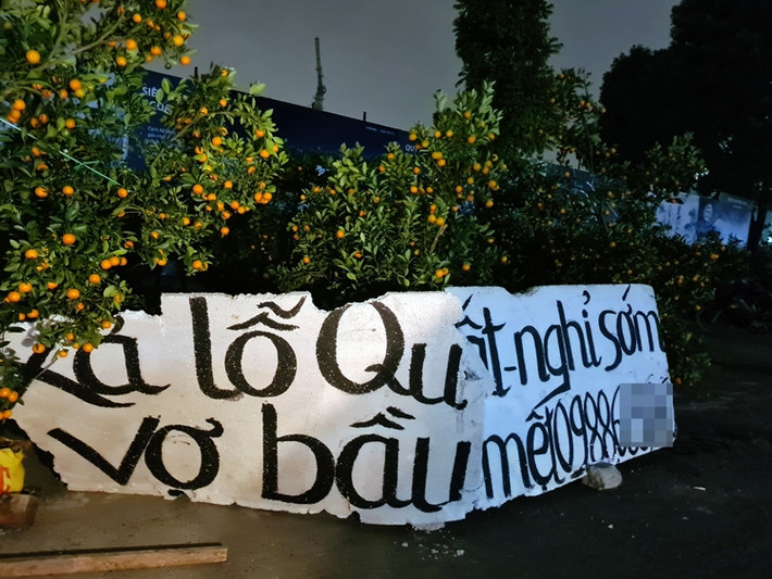 Biển xả quất cảnh vì... "vợ bầu, mệt", được tiểu thương đặt ở nơi dễ quan sát.