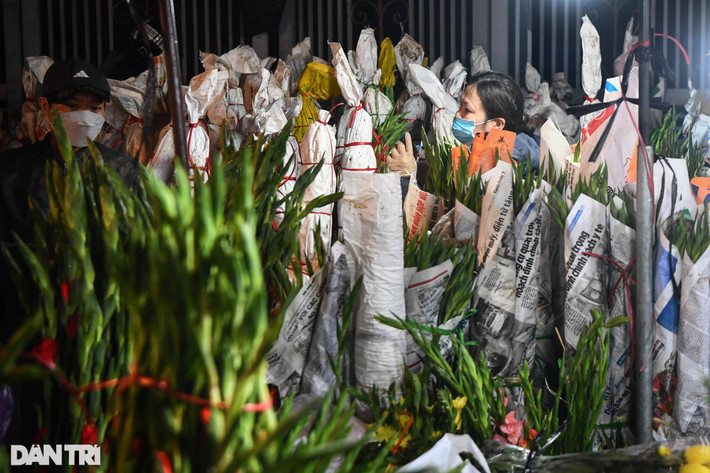 Những ki-ốt ngập tràn hoa lay-ơn trong khu chợ Quảng An, loài hoa được yêu thích và cắm chơi nhiều nhất trong các gia đình Việt mỗi dịp Tết.