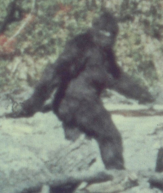 8. Quái vật chân to Bigfoot được miêu tả là những con thú đồ sộ trông như con người với cơ thể phủ đầy lông và bàn chân cực lớn. Nhưng cũng giống như quái vật hồ Loch Ness, cho đến nay, vẫn chưa có bằng chứng nào thuyết phục về việc tồn tại thực sự của quái vật chân to này.