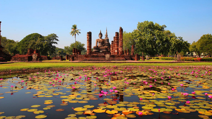 1. Thái Lan: Thái Lan trong tiếng Anh là Thailand, có nghĩa là “Vùng đất người Thái”. Người Thái di cư từ Vân Nam (Trung Quốc) xuống vùng Đông Nam Á từ thế kỷ VIII, cùng chung ngôn ngữ với người Lào, người Thái ở Việt Nam. Vương quốc Thái Lan thành lập vào năm 1238 từ lãnh thổ của đế chế Khmer, đóng đô tại Sukhothai. Năm 1283, người Thái mới có chữ viết riêng. Quốc hoa Thái Lan là Dok Khuen, người Việt gọi là muồng hoàng yến, bò cạp vàng. Loài hoa này tượng trưng cho hoàng gia. Ảnh: CNN.