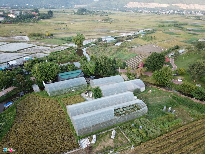 Phía đối diện là một vườn rau xanh với các loại bầu, bí, bắp cải... Tuy vắng mặt ở chùa nhưng sư Toàn vẫn thuê người đến chăm sóc hàng ngày.