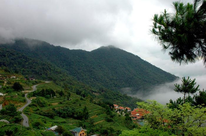 Hãy đến và cảm nhận vẻ đẹp như cổ tích của khu rừng nguyên sinh bồng bềnh mây phủ.