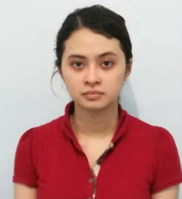 Đường dây ma túy lớn nhất do Văn Kính Dương (36 tuổi, hay còn lại là Hoàng 'béo hoặc Hiếu, ở Hà Nội) cầm đầu quy tụ toàn những người thân tín trong gia đình, anh em họ hàng và một số bạn thân chí cốt từng theo Hiếu nhiều năm.