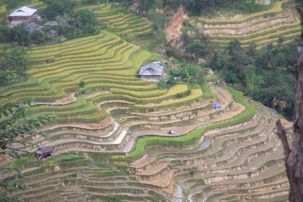 Để làm ra được một hạt thóc, bà con nơi đây trải qua muôn vàn gian khó.