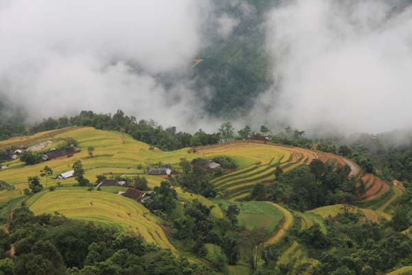 Những ngôi nhà của bà con người Mông, người Nùng được làm cạnh ruộng bậc thang.