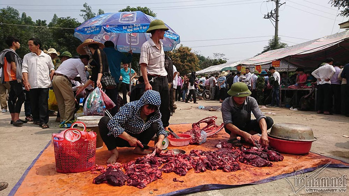 Sân UBND xã Hải Lựu trở thành chợ thịt trâu ngay cạnh sới chọi, theo lý giải của lãnh đạo xã nhằm quản lý được nguồn thịt, tránh bị nhầm lẫn với thịt trâu ngoài không phải trâu chọi