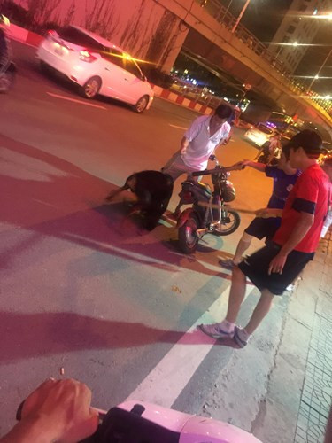 Chỉ có một mình và chú chó thì bị thương quá nặng, chủ của Jin chỉ còn biết đứng ôm cổ chú chó của mình và kêu gào cầu cứu. Trong hoàn cảnh này, một người hùng đi xe Dream đã xuất hiện. Dù đang đi cùng bạn gái nhưng chàng trai trẻ đi xe Dream đã lao vào, rất khẩn trương cùng người chủ đưa Jin đến bệnh viện 354 ở gần đó để tìm cách cứu chữa.