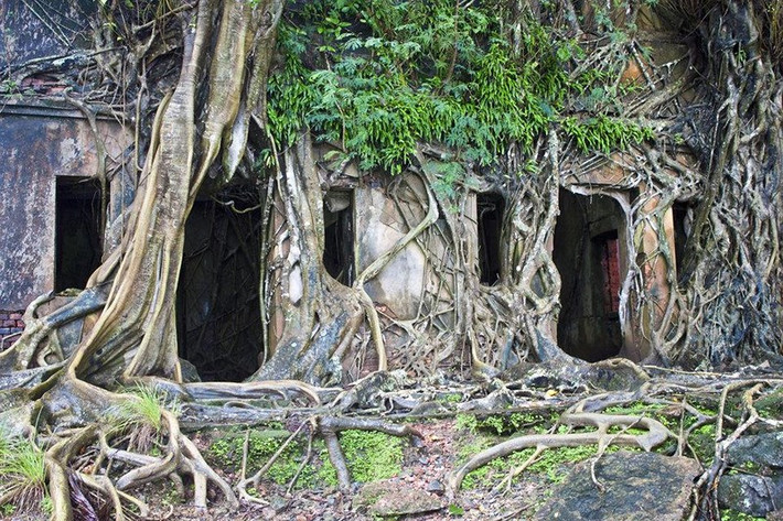 2.Đảo Ross, thuộc Quần đảo Andaman và Nicobar (Ấn Độ): Nơi đây từng được gọi là "Paris của phương Đông". Cư dân Anh (khi Chính phủ Anh cai trị Ấn Độ) đã biến nó thành nhà của họ với các vũ trường, tiệm bánh, câu lạc bộ, bể bơi và vườn. Sau khi trở lại quyền sở hữu của Ấn Độ, hòn đảo dường như bị lãng quên. Ngày nay, các nhóm du lịch tham quan đảo này gần như mỗi ngày, bởi nó có phong cảnh rất đẹp, nhưng còn khá hoang sơ