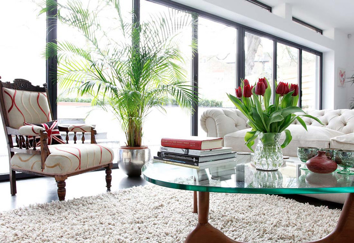 Trước hết, bạn nên lưu ý tới những khu vực như sảnh vào cửa chính, bậc thềm, bậu cửa sổ… những nơi đón, tiễn khách cần đặt để những chậu cây cảnh, bonsai đẹp, hợp phong thủy hoặc các bức tượng trang trí, tranh ảnh, câu đối, treo đèn lồng vừa tăng phần sinh động, vừa tạo sinh khí trong nhà trong dịp Tết đến xuân về. Ngoài ra, những vật sắc nhọn, quá góc cạnh như đèn trang trí nhiều góc cạnh, tiêu bản động vật có hình thù kỳ quái, rùng rợn cũng nên hạn chế trưng bày trong phòng khách dịp năm mới.