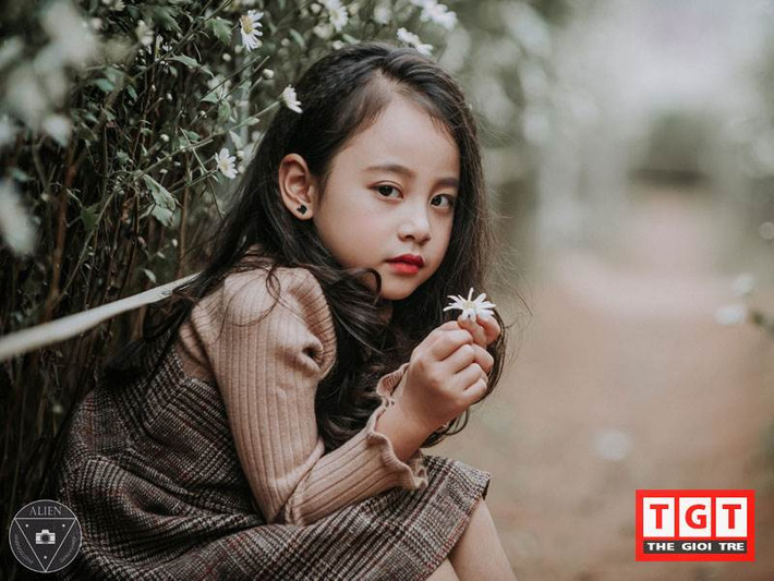 Mùa cúc họa mi năm nay nhóc tỳ được mệnh danh "Chipu phiên bản nhí"- Bảo Vy được mẹ cùng một chàng nhiếp ảnh khá nổi tiếng- Đặng Vũ Hiệp đưa đi chụp ảnh và có những bức ảnh rất đẹp trong tiết trời vào đông ở Hà Nội.