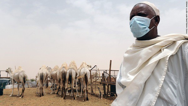 Dịch MERS: Năm 2012, một loại virus mới bắt nguồn từ lạc đà xuất hiện ở Trung Đông và từng bước trở thành đại dịch toàn cầu. Hội chứng hô hấp cấp Trung Đông (MERS) hiện lan truyền với tốc độ đáng sợ. Từ năm 2012, dịch MERS đã có mặt tại 25 quốc gia. Tổ chức Y tế Thế giới (WHO) thống kê, tính đến ngày 7/6, 1.179 người nhiễm virus MERS, 442 người tử vong. Riêng Hàn Quốc, nơi được xem là "ổ dịch", 95 ca nhiễm bệnh và 7 trường hợp đã chết vì căn bệnh này. Ảnh: CNN