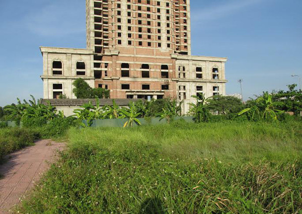 Cỏ mọc um tùm xung quanh tòa nhà.