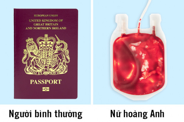 Nữ hoàng Anh luôn mang theo túi máu dự trữ trong các chuyến đi: Luôn có một bác sĩ trong đoàn người hộ tống Nữ hoàng Anh. Bác sĩ chịu trách nhiệm biết vị trí tất cả các bệnh viện gần nhất trong thành phố mà họ sẽ đến và mang theo hộp y tế, trong đó có máy khử rung tim di động và thuốc khẩn cấp. Ngoài ra bác sĩ còn mang theo túi máu dự trữ cho Nữ Hoàng Anh phòng trường hợp cần truyền máu.