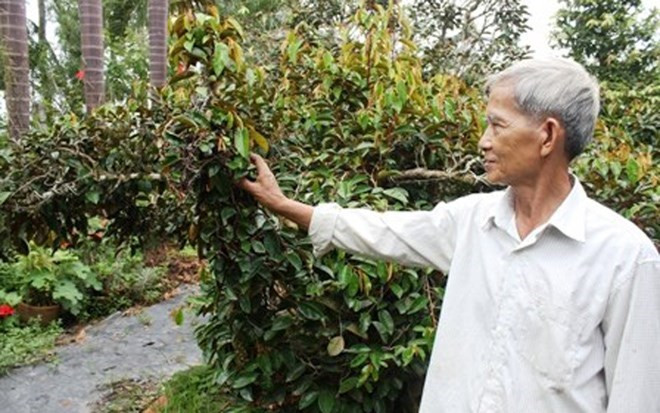 Ông Nhiên cho biết, để có hình “Tứ linh”, ông phải mất 10 năm để tạo dáng.