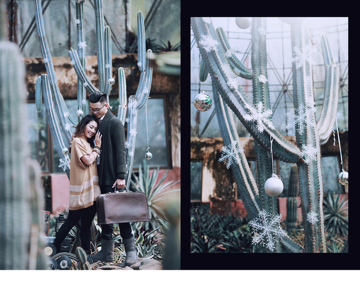 Bộ ảnh cưới Noel của cặp đôi Minh Tân – Cao Nhật cũng là một bộ ảnh độc lạ và dự đoán sẽ tạo nên một phong trào chụp ảnh cưới, ảnh cặp đôi trong mùa Giáng sinh ấm áp này.