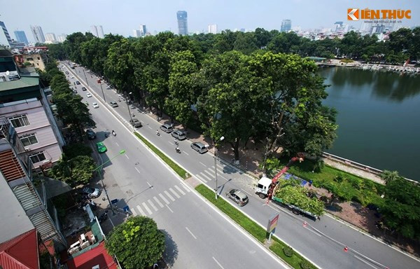 Trước đó, ngày 16/9/2016, Ban Quản lý Đường sắt đô thị Hà Nội đã thông tin về việc triển khai di dời cây xanh phố Kim Mã phục vụ thi công dự án tuyến Đường sắt đô thị thí điểm TP Hà Nội, đoạn Nhổn – Ga Hà Nội. Trong tổng số 109 cây, sẽ di chuyển những cây có đường kính hơn 40cm và tiếp đó là 24 cây xà cừ có đường kính lớn hơn 40cm. Những cây xanh trong khu vực dịch chuyển là vỉa hè đường Kim Mã, đoạn từ đền Voi Phục đến đối diện ngõ 575 Kim Mã (Ba Đình, Hà Nội). Hàng xà cừ trên đường Kim Mã sau đó được dời về vườn ươm Văn Giang (Hưng Yên).