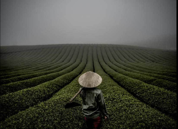 Ảnh chụp tại Mộc Châu.