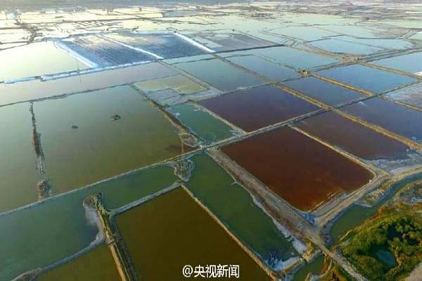 Nhìn từ trên cao xuống, từng hồ muối san sát nhau, phân thành từng ô màu nhỏ riêng biệt, nằm đan xen lẫn nhau như một bảng pha màu khổng lồ của họa sĩ. Rất nhiều du khách tới đây đã bị lóa mắt trước vẻ đẹp lung linh, huyền ảo của mặt hồ dưới ánh nắng mặt trời phản chiếu.