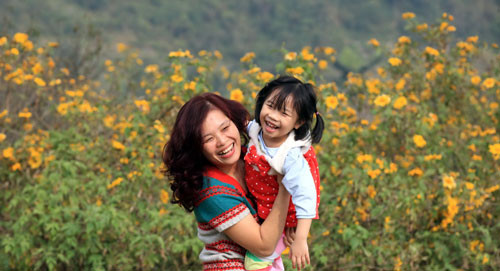 Hoa có màu vàng rực rỡ, bung nở vào quãng cuối tháng 11, với những chiếc cánh mỏng mảnh 3 thùy, 5 thùy chẻ ra như những ngón tay. Và dường như những vạt hoa vàng ruộm luôn gắn liền với hình ảnh những cung đường phượt.