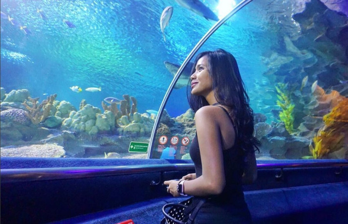 9. Thủy cung Aquaria KLCC: Luôn nằm trong top những điểm đến hấp dẫn nhất tại Kuala Lumpur do du khách bình chọn, thủy cung Aquaria KLCC là điểm đến lý tưởng cho du khách chiêm ngưỡng cuộc sống dưới đáy đại dương. Đây là nơi nuôi hơn 150 loài cá đặc biệt. Để ngắm nhìn chúng, bạn sẽ đi qua một đường hầm bằng kính dài 90 m. Ảnh: Caesad Hanisa.