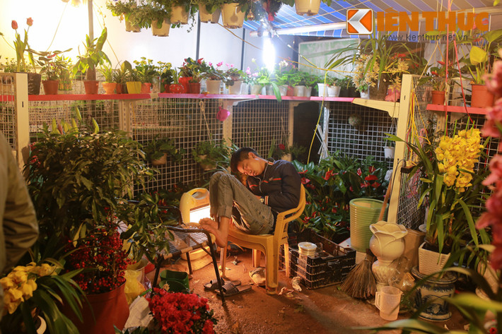 Chàng thanh niên ngủ ngon lành trong quầy hoa của mình, mặc kệ khách xem hoa.