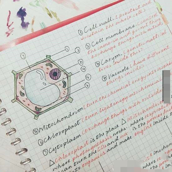 Người bạn của Madame Tú đã chia sẻ những bức ảnh cậu nhận được lên mạng xã hội Weibo và rất nhiều học sinh, sinh viên đã thể hiện sự ngạc nhiên, thậm chí là sốc nặng sau đó. Madame Tú ghi chép bài rất cẩn thận, không bỏ sót một chữ nào. Các đề mục được phân chia trình tự, rất khoa học. Các phần đáng chú ý đều được làm nổi bật bằng bút đỏ, chưa kể đến các trang vở đều trắng, sạch, các dòng chữ luôn đều tăm tắp trông vô cùng thích mắt.
