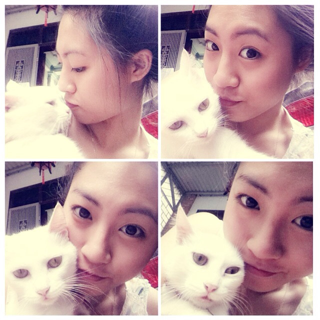 Những chú mèo cũng từng là người bạn tuyệt vời của Huyền Trang... Ảnh: FBNV.