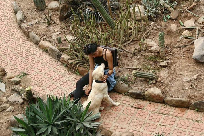 Huyền Trang có một chế độ chăm sóc rất cẩn thận cho hai người bạn động vật của mình, cô bạn cẩn thận lựa chọn bổ sung thêm canxi cho bữa ăn của Finn và Soda vì đây là 2 giống chó lớn, riêng Soda có bộ lông 2 lớp nên được bổ sung thêm Omega 3-9. Hay cả những chuyến đi xa, Huyền Trang cũng chuẩn bị thức ăn và thuốc đầy đủ cho 2 chú chó hệt như cho chính mình.
