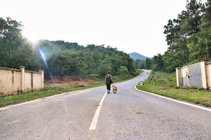 Ba người bạn đã cùng nhau vi vu tại nhiều địa điểm gần, xa Hà Nội như: Núi Trầm - Ba Vì, Hàm Lợn - Sóc Sơn, Hòa Bình, Cồn Vành - Thái Bình, Sầm Sơn - Thanh Hóa. Trên quãng đường đi, Finn và Soda tỏ ra vô cùng thích thú, chúng thường xuyên chạy, nhảy vui đùa quanh Huyền Trang.