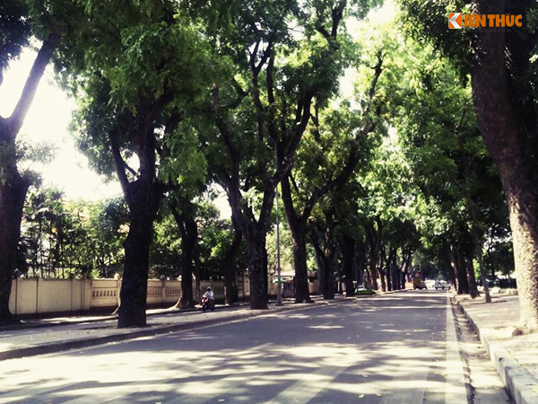 Hầu hết, khi đi qua những con đường có cây xanh, người tham gia giao thông đều di chuyển rất chậm để tận hưởng được phần nào không khí mát mẻ.