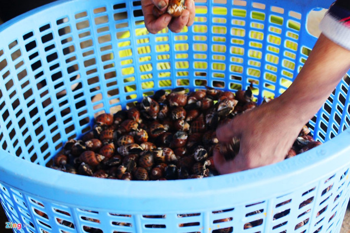 Chợ Đồng Hòa là chợ hải sản lớn nhất Cần Giờ. Chợ hoạt động theo thời gian cập bến của ngư dân - trước 9h và sau 15h. Hải sản tại chợ phong phú và giá rẻ rất rẻ so với mua trong thành phố.