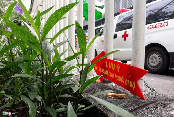 Ngoài các bảng "Lối đi dành cho người đi bộ" nằm bên ngoài, một số bảng được làm rất nhỏ, nằm che khuất sau những bụi cây bên hàng rào bệnh viện.