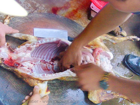 Lòng chó được tách riêng.