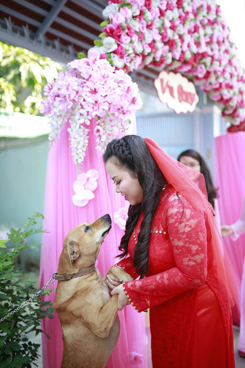 Nhiếp ảnh Huỳnh Lý Hùng chia sẻ: "Hôm đó là ngày 14/5, mình chụp phóng sự cưới ở phường Phú Nhuận, TP HCM. Chú chó ở nhà cô dâu được gọi là Ki, vốn được nhà chủ rất yêu thương và coi như một thành viên trong gia đình".