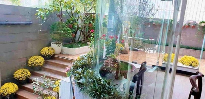 Trên sân thượng và phía ngoài ngôi nhà của Vũ Thu Phương được trồng rất nhiều cây xanh và hoa.